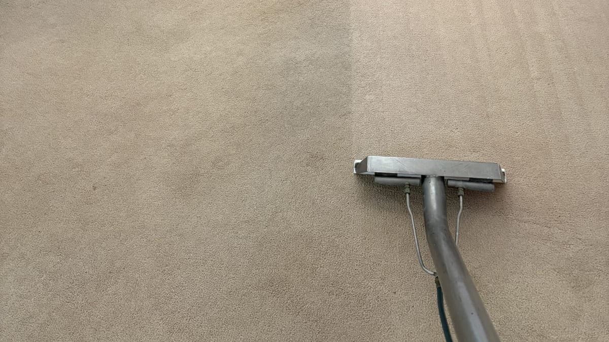 Nylon vs polyester carpet cleaning: a truck-mount extraction wand mid-pass leaving a clean line across beige wall-to-wall carpet in an Ocean County home