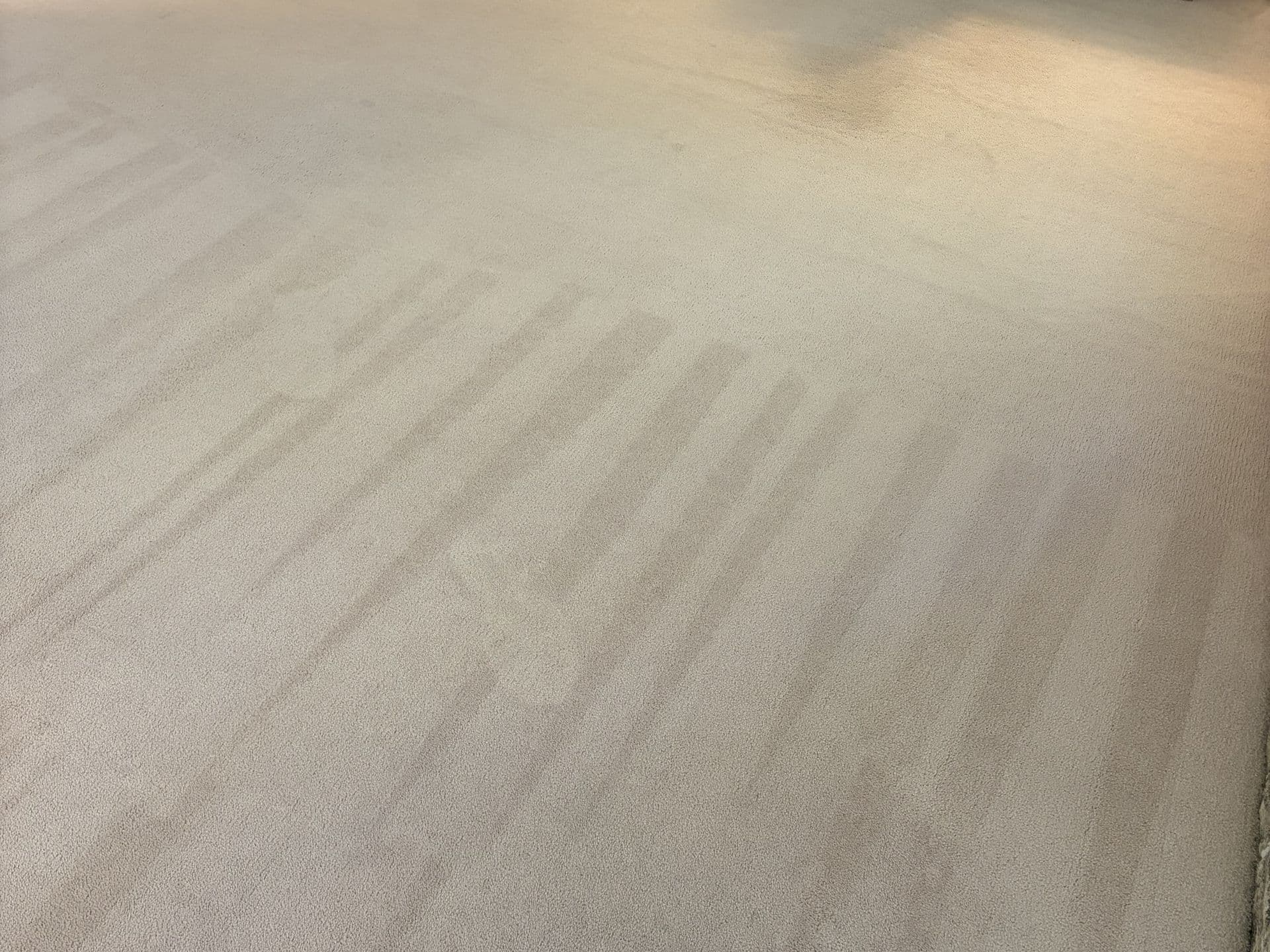 Cream living-room carpet with fresh extraction strokes, beside the same carpet looking dull before cleaning