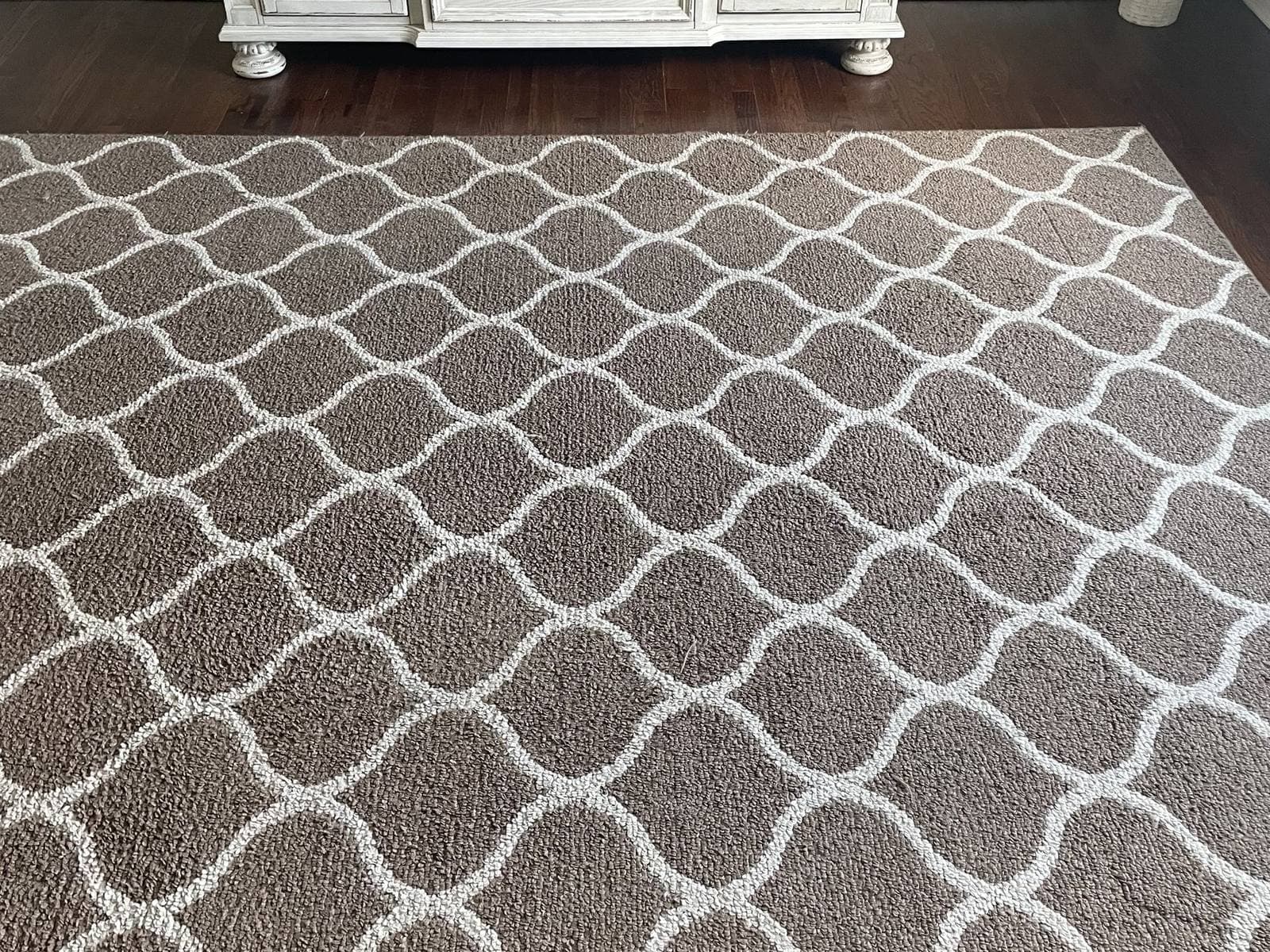 Trellis-pattern area rug freshly cleaned in place on a hardwood floor