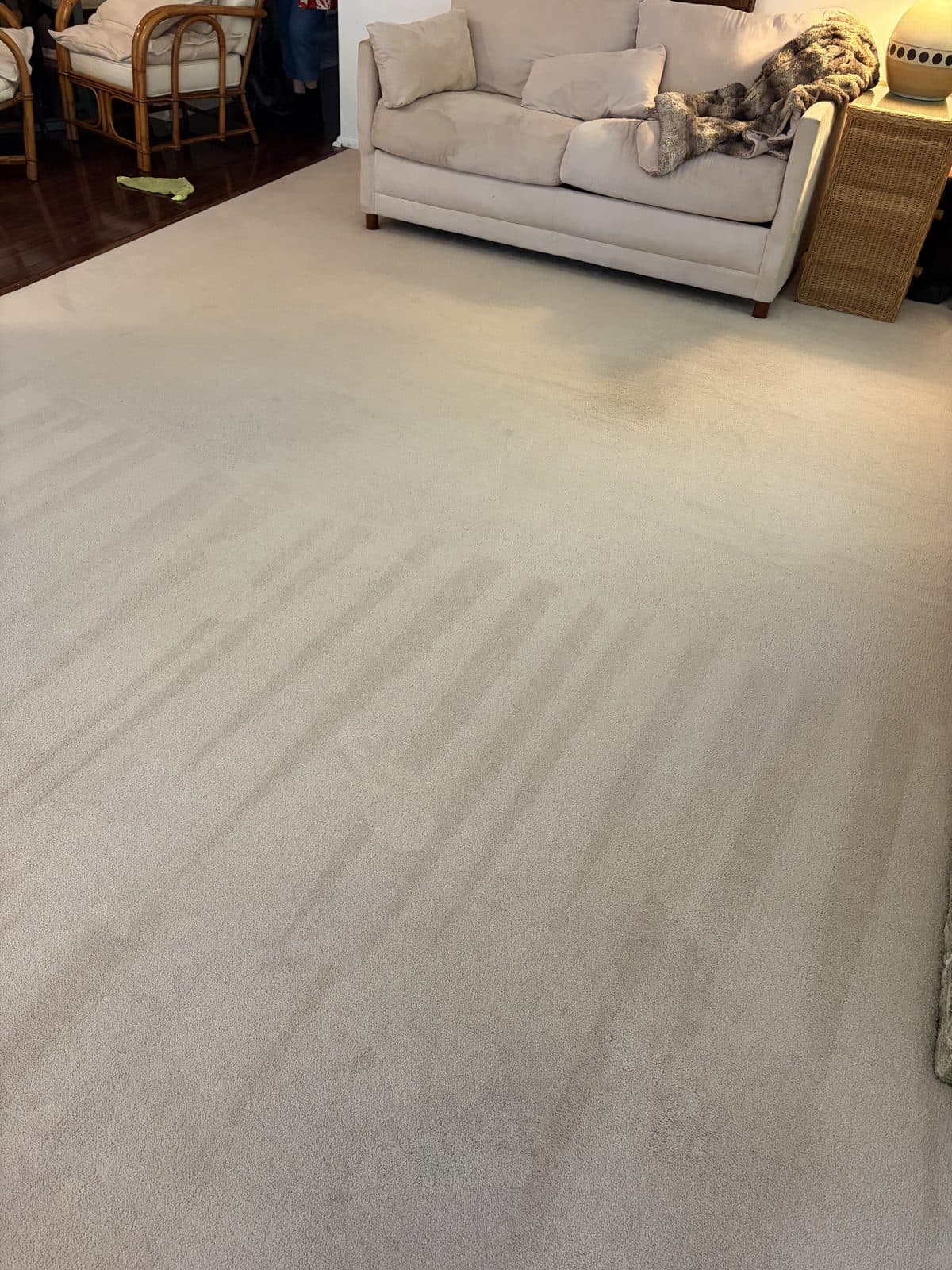 A carpet cleaning wand passing over plush carpet, leaving a clean track