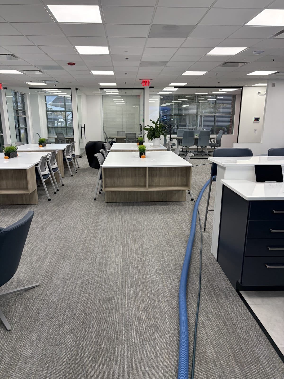 Open-plan office with freshly cleaned grey commercial carpet and glass conference rooms