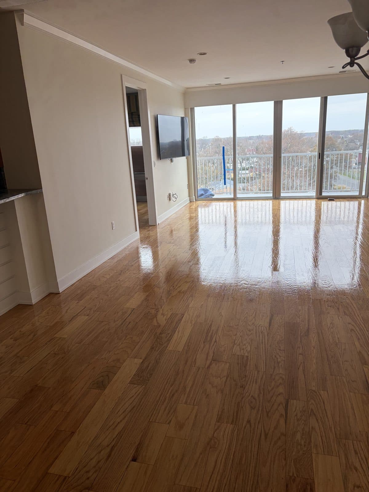Freshly refinished honey-oak hardwood floor glowing under tall windows in an empty room